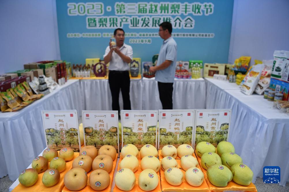 问鼎电子娱乐